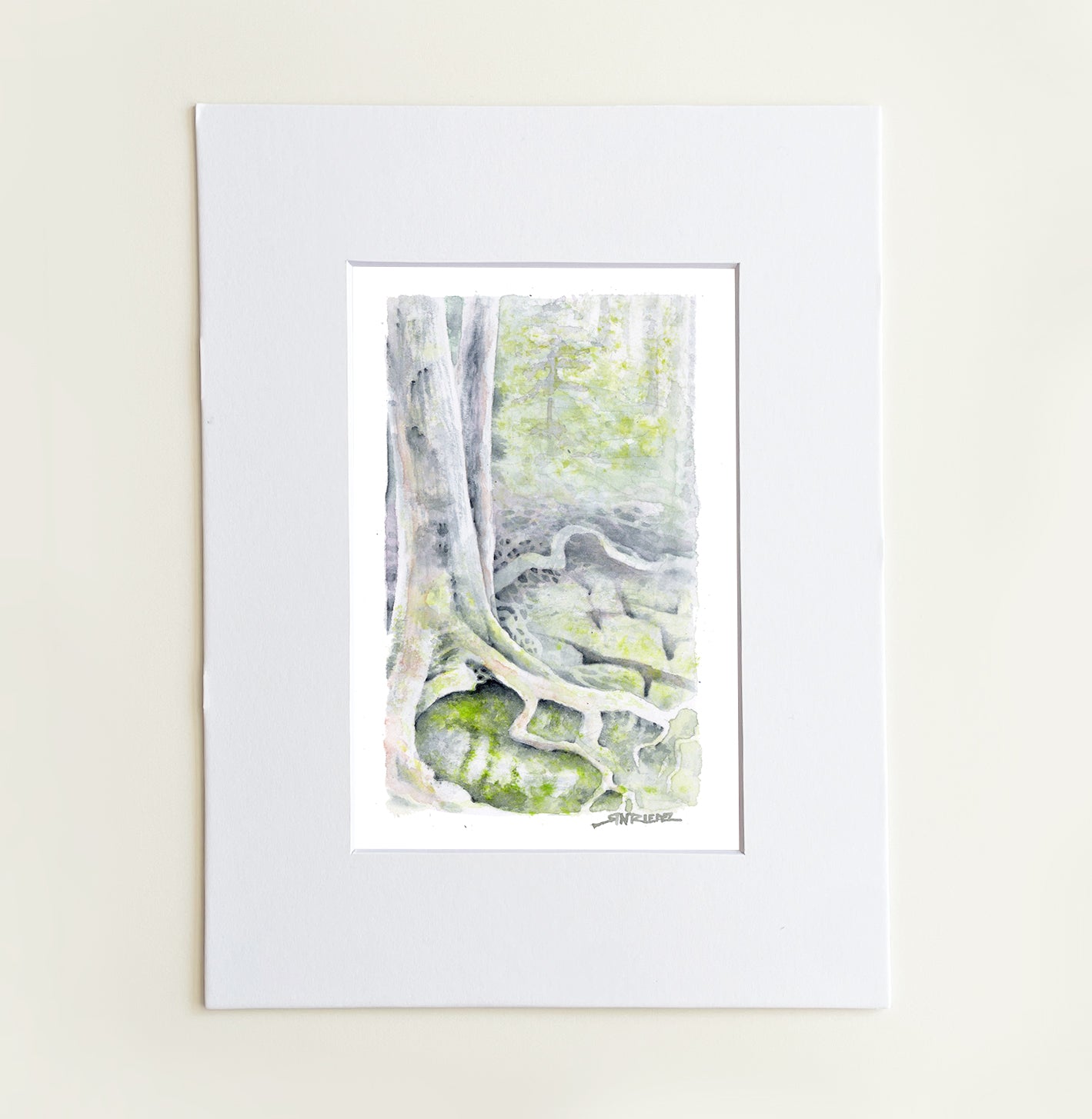 "Trail Roots” - 8x10 Watercolor Print | Appalachian Trail Inspired Art