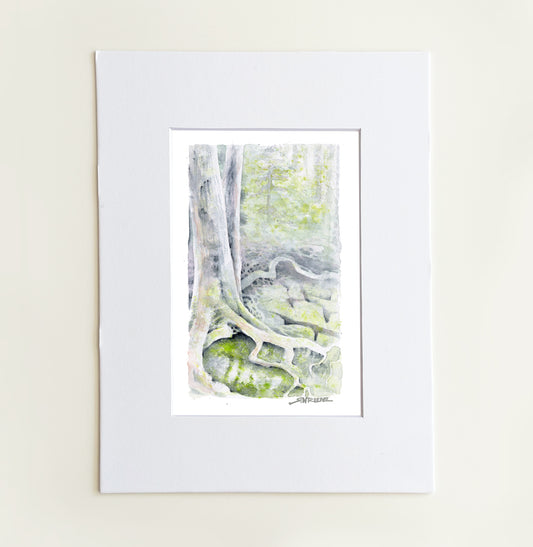 "Trail Roots” - 8x10 Watercolor Print | Appalachian Trail Inspired Art