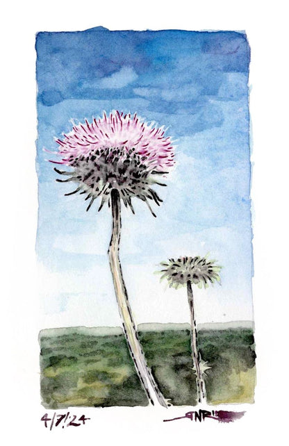 "Thistles on the Trail" – 8x10 Watercolor Print | Pacific Crest Trail Inspired Art