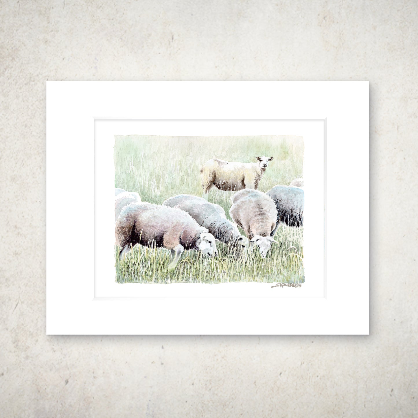 "Grazing Sheep" - 11x14 Watercolor Print  | Appalachian Trail Inspired Artwork